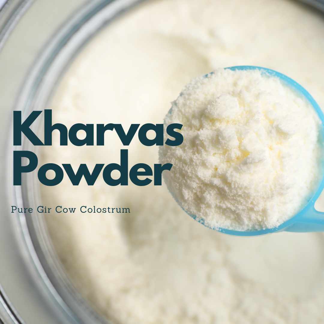 Kharvas Powder - Pure Gir Cow Colostrum Powder Online  