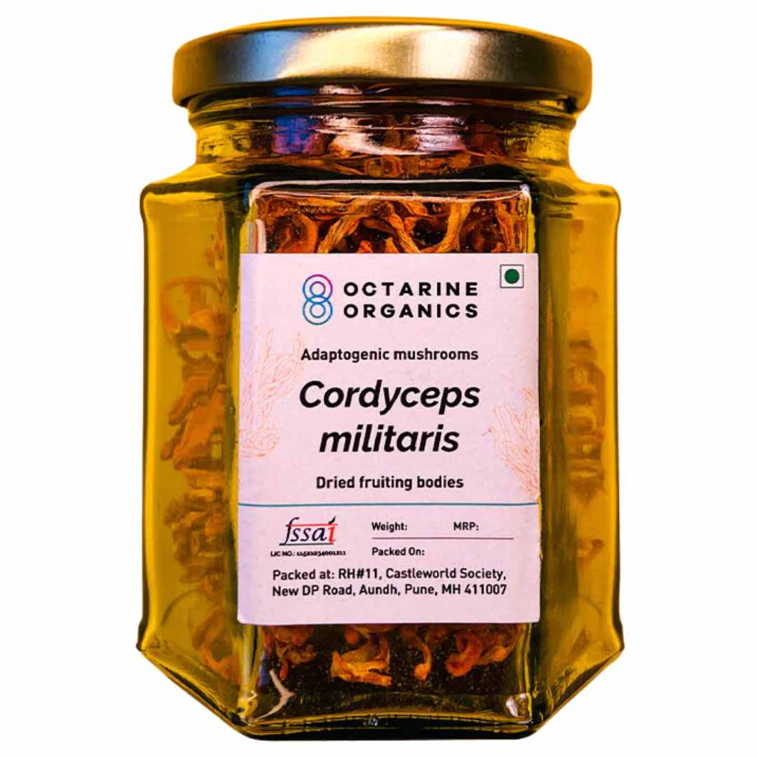 Buy Best Cordyceps Militaris Mushroom Online in India