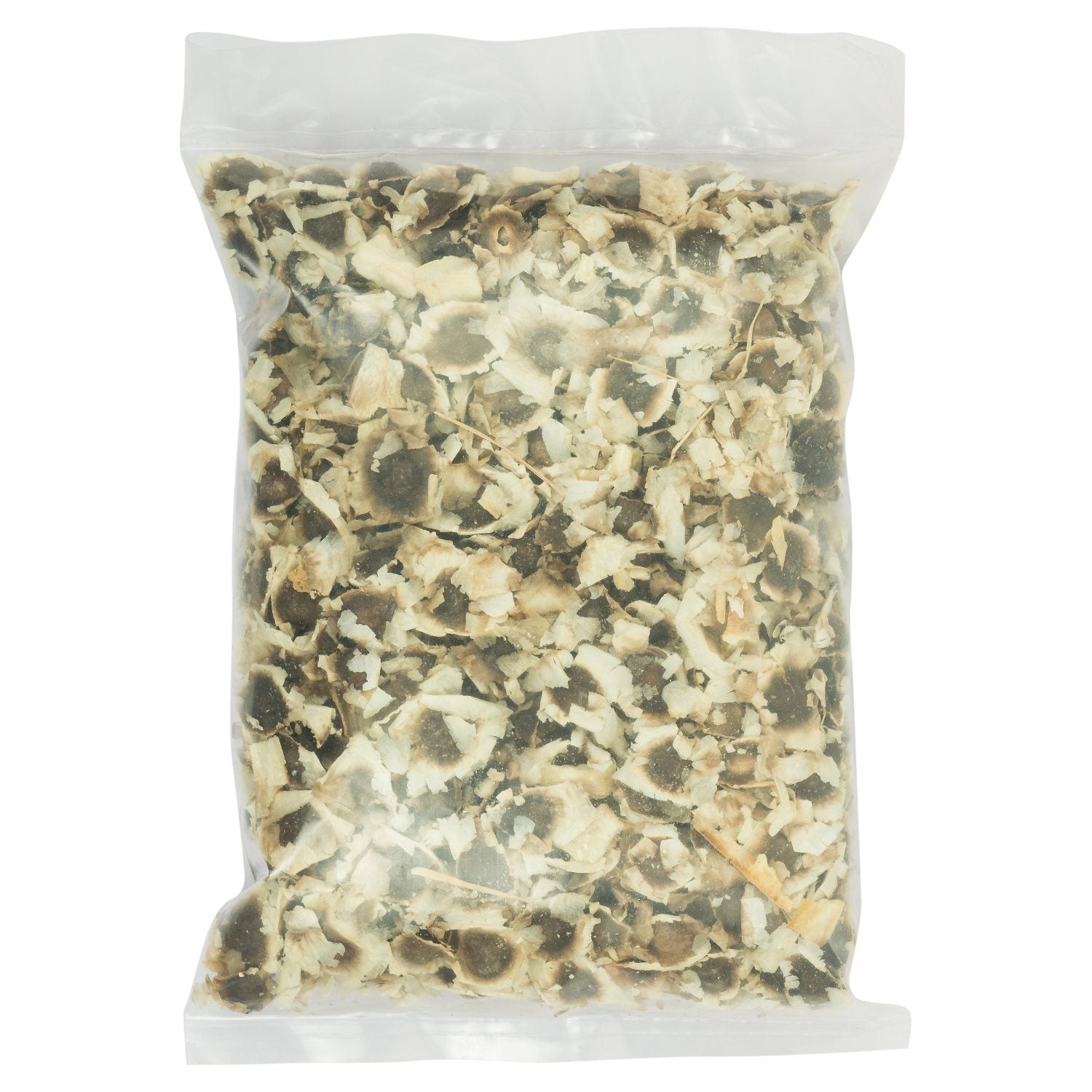 Moringa (Drumstick) Seeds (1kg) - Two Brothers Organic Farm