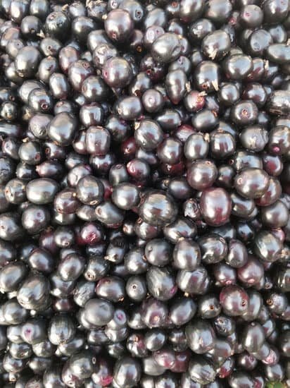 Organic Jamun