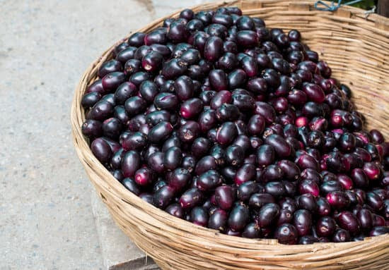 Organic Jamun