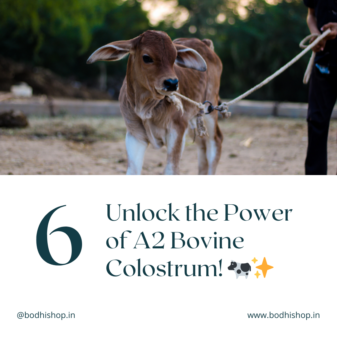 buy best gir cow bovine colostrum powder online