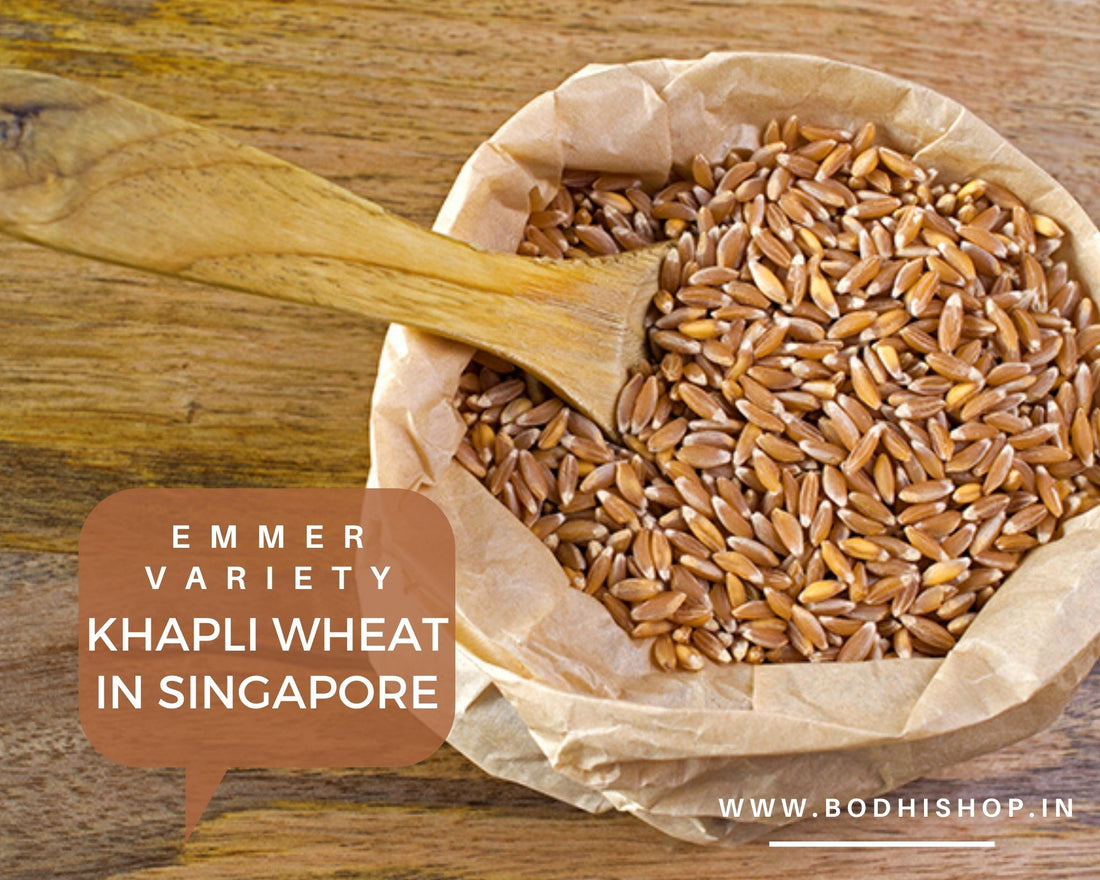 Khapli wheat flour singapore