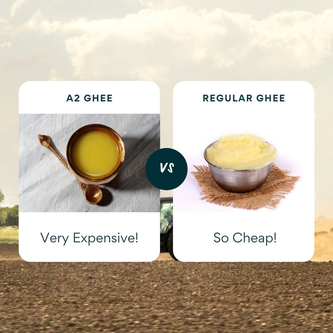 A2 Ghee vs Regular Ghee: What's the Difference?