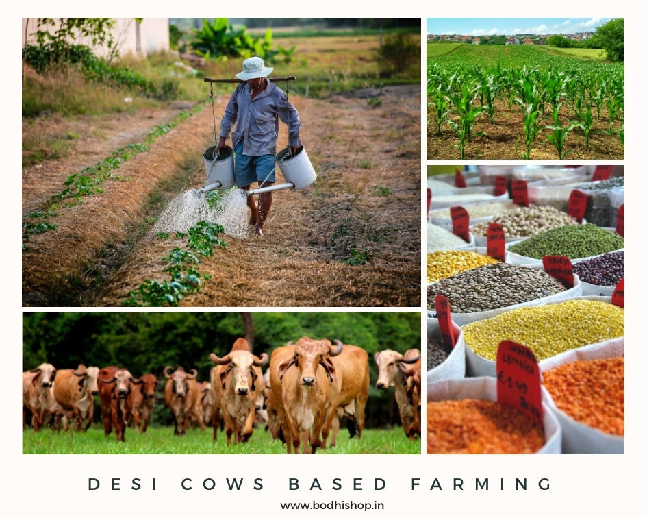 Desi Cow Based Farming