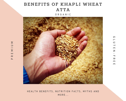 Health Benefits of Khapli Wheat