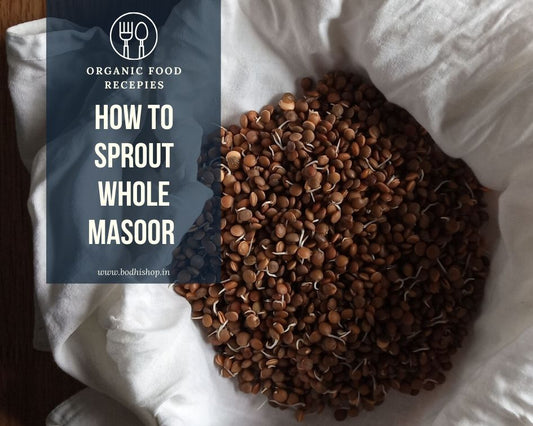 How to Sprout Whole Masoor Beans at Home
