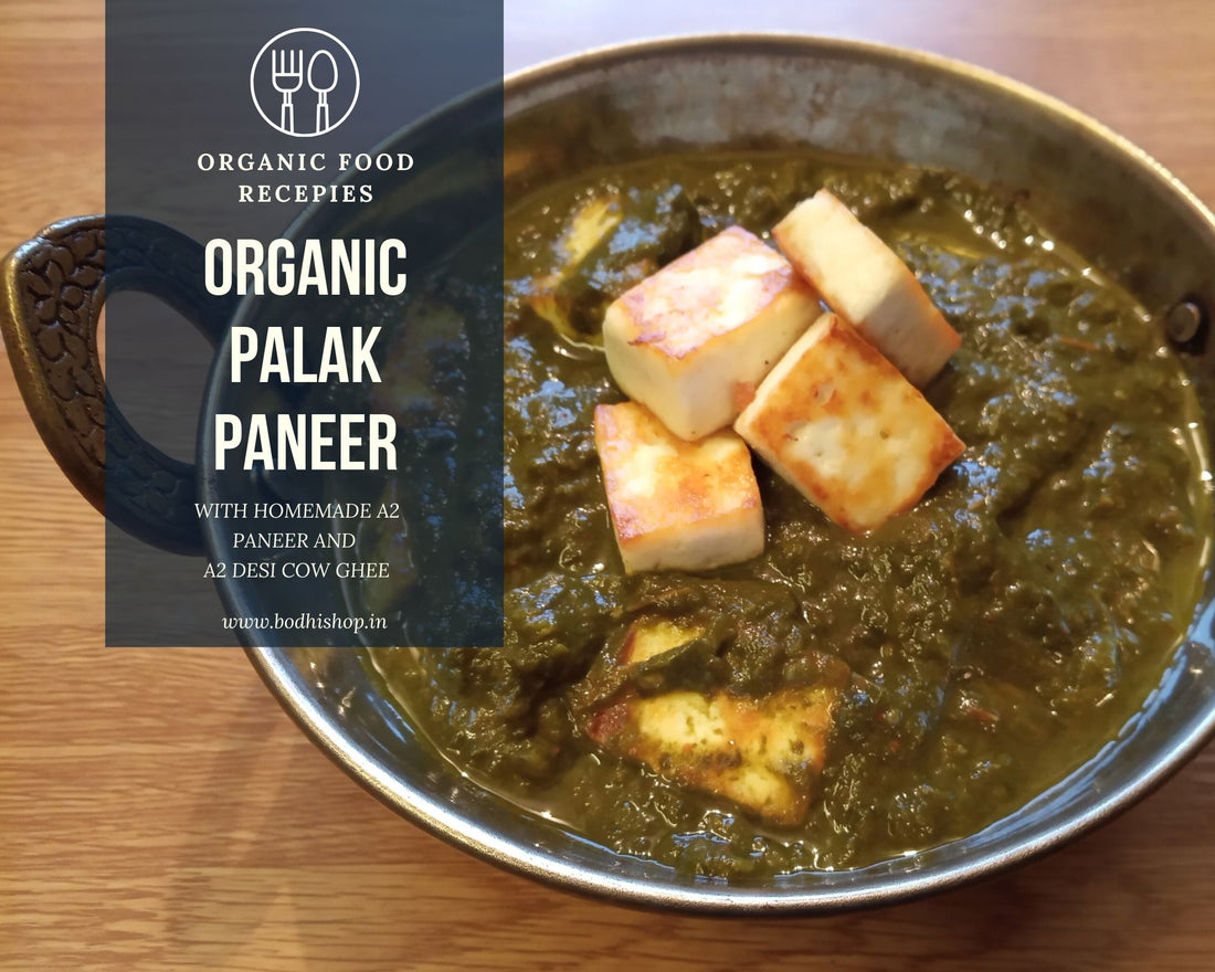Organic Palak Paneer