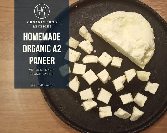 Homemade Organic A2 Paneer Recipe