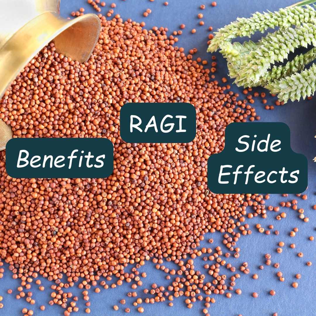 Benefits & Side Effects of Ragi - What You Need to Know! – Bodhishop.in
