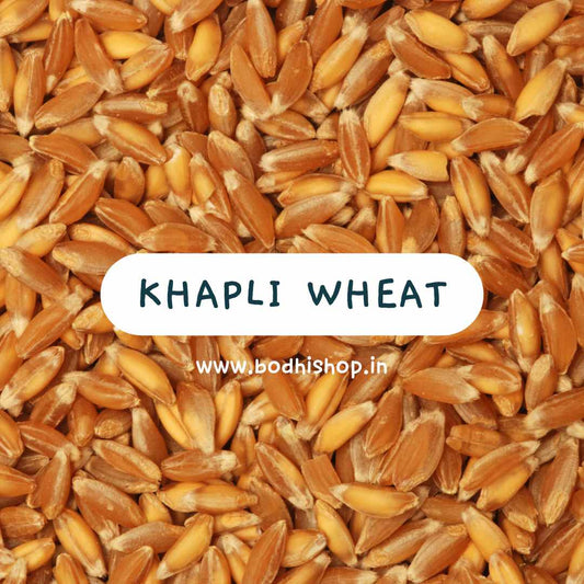 What is Khapli Wheat? Normal Vs Khapli Wheat - Can I Use it daily?