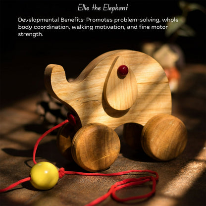 Elli the elephant