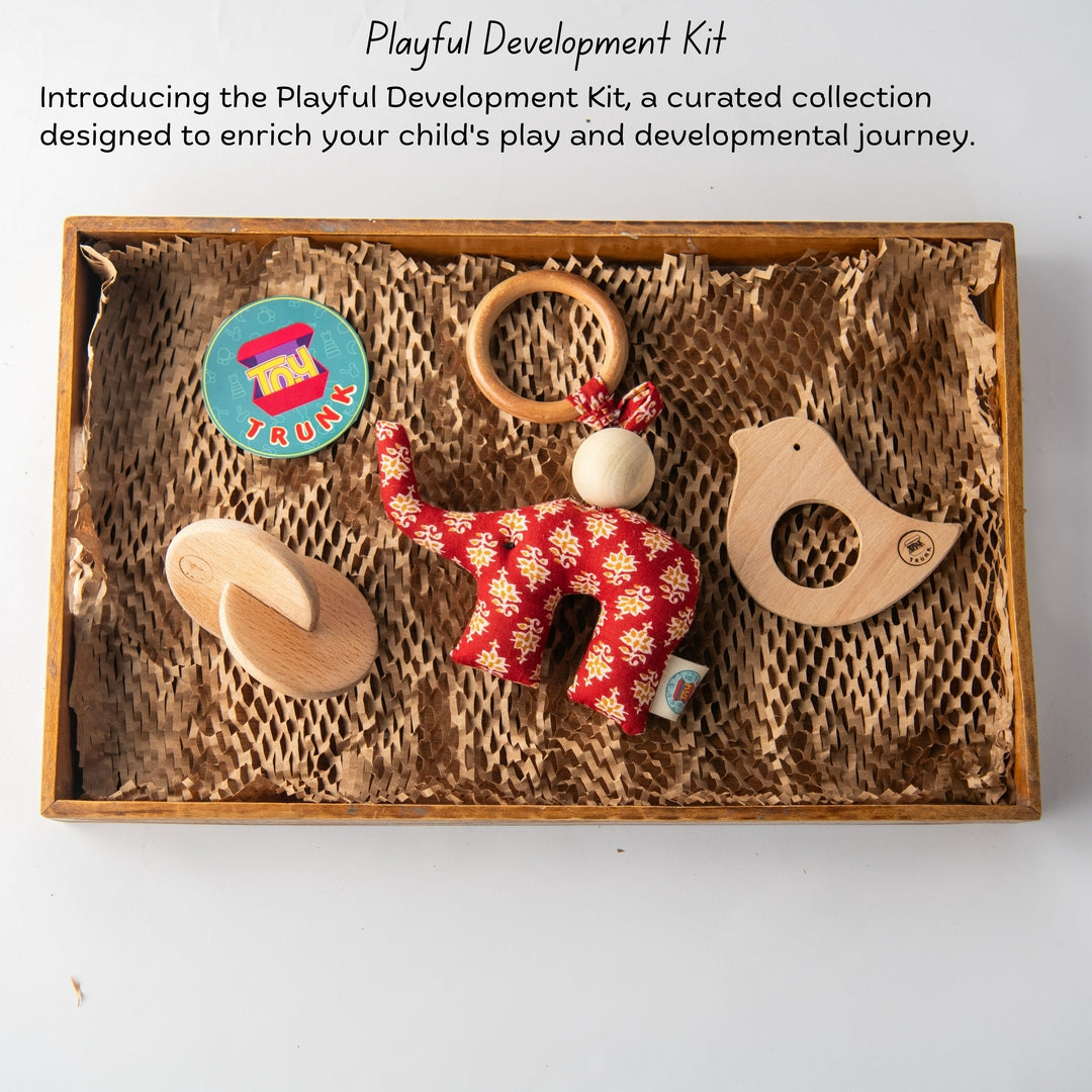 Playful development kit