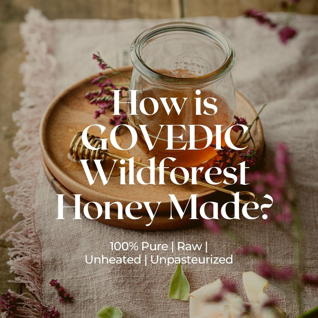 Govedic Wild Forest Honey | Raw Unheated Unpasteurized | Amber Jar