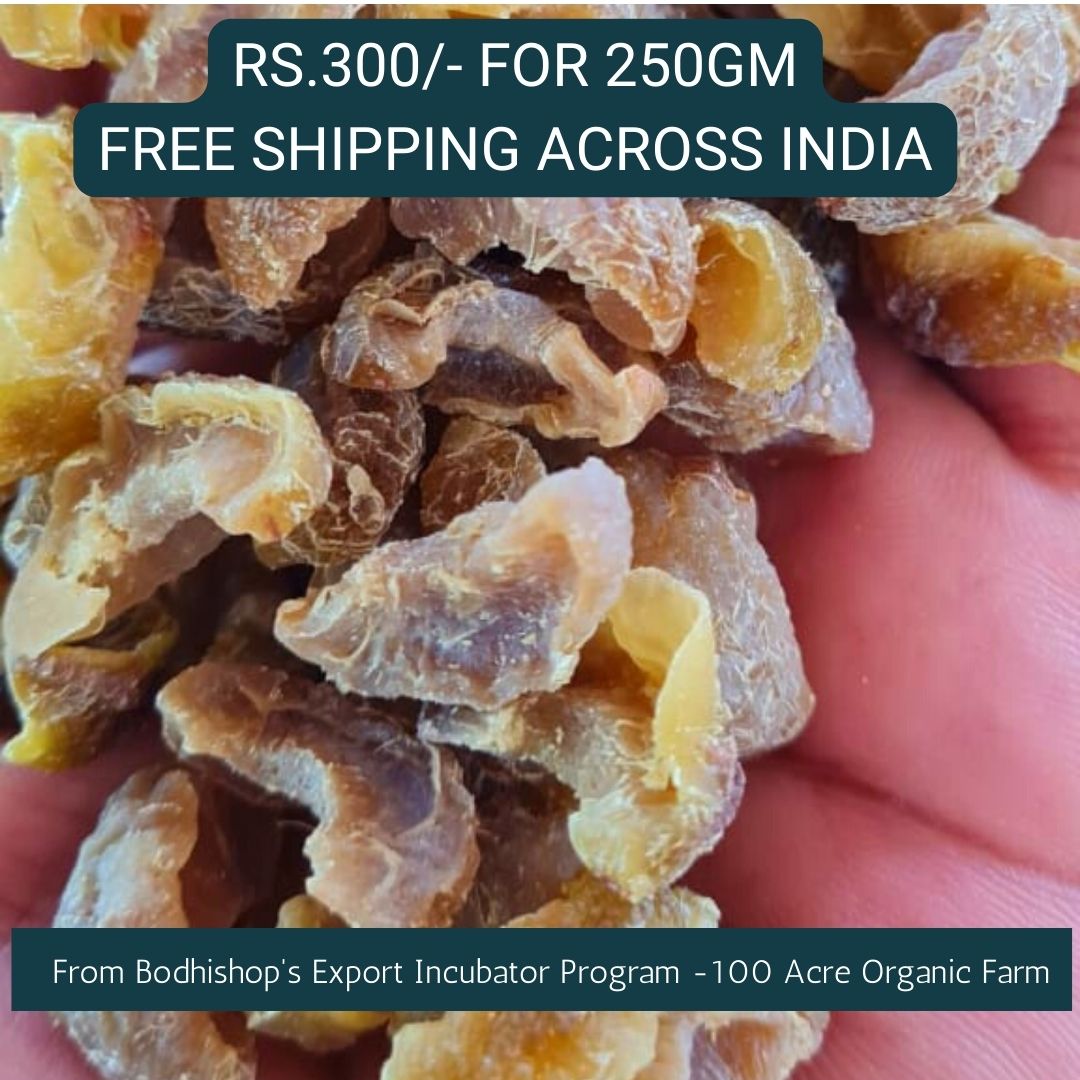 Shade Dried Amla Candy - Lightly Sweetened with Organic Jaggery