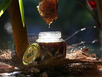 Isha Vasyam Kerala Wild Forest Honey