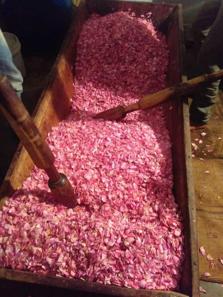 buy organic gulkand with damascus rose petals 